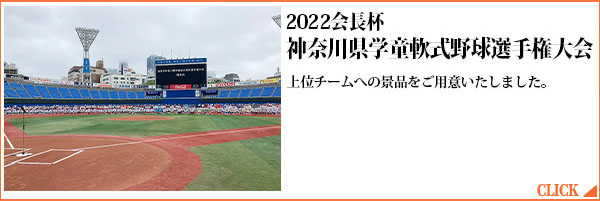 神奈川県学童軟式野球選手権大会